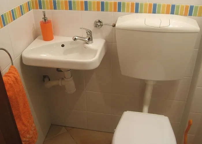 Oliveira * 拉哥斯